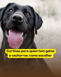 Cortinas para quem tem gatos e cachorros: como escolher